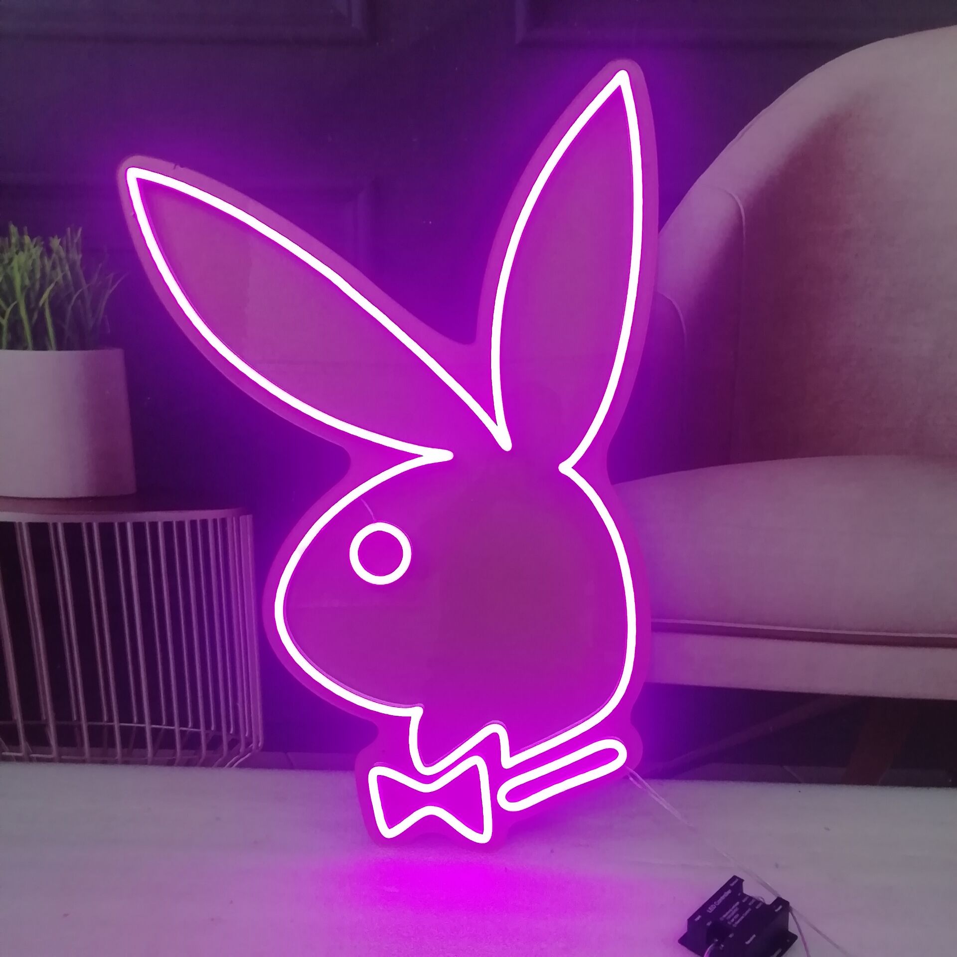 Rabbit – Neonify
